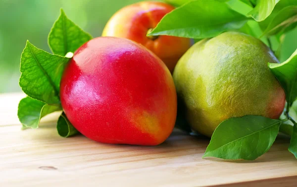 Três frutos tropicais maduros manga — Fotografia de Stock