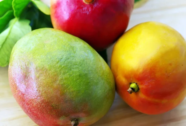 Tre modne tropiske mango av frukt – stockfoto