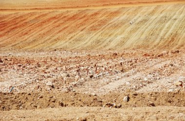 Kırmızı sürülmüş alan doku