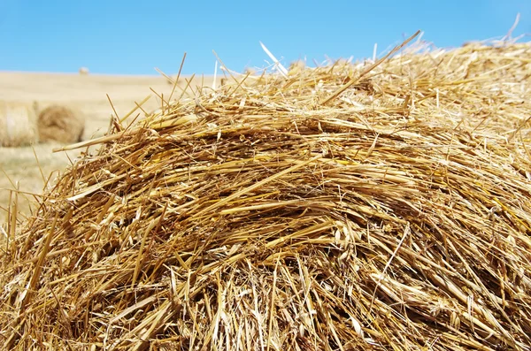 Closeup of Hay bales in the field — Stock Photo, Image