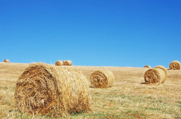 Hay bale in the foreground in rural field — Stock Photo, Image