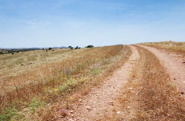 Camino rural en Alentejo, al sur de Portugal —  Fotos de Stock