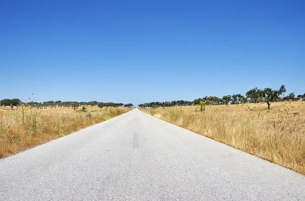 Landweg op ten zuiden van Portugal, Alentejo regio — Stockfoto