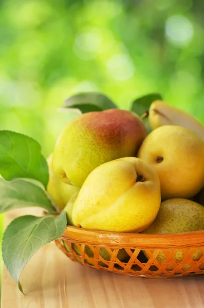 Organic Pears in the Basket — Stock Photo, Image