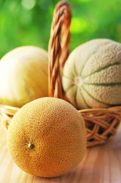 Melões canteloupe em cesta com fundo verde — Fotografia de Stock