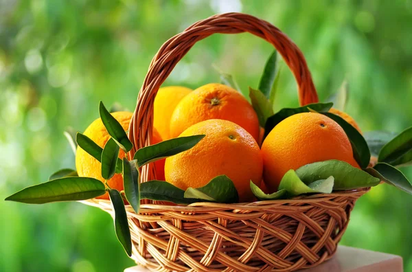 Naranjas maduras en cesta sobre fondo verde —  Fotos de Stock