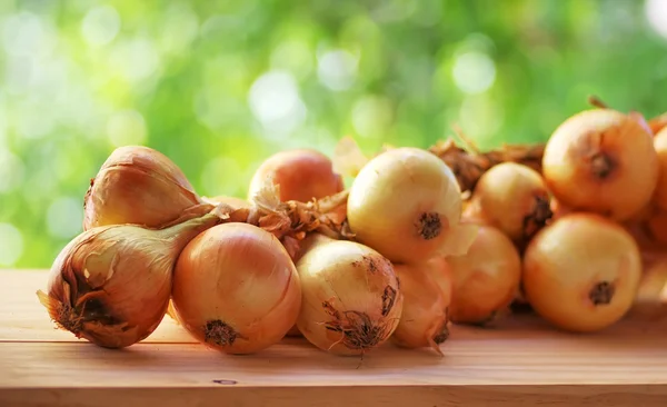 Cipolle d'oro fresche sul tavolo — Foto Stock