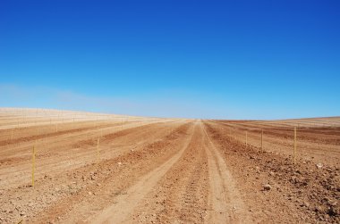 Sürülmüş alana alentejo, Portekiz