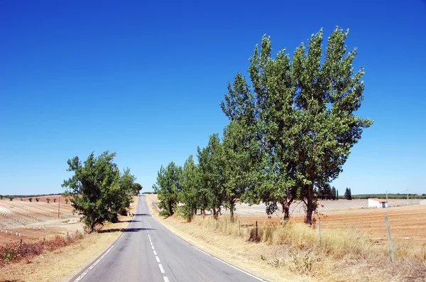 Estrada a sul de Portugal, região alentejana . — Fotografia de Stock