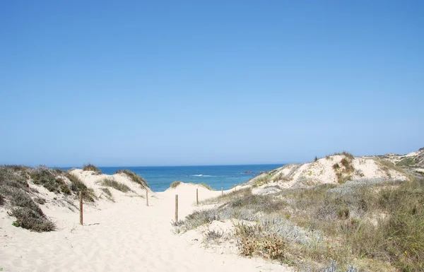 Dunas en la playa de Milfontes, al suroeste de Portugal — Foto de Stock