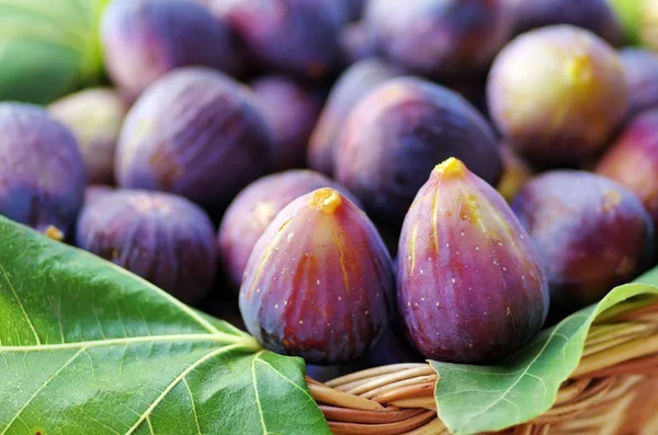 Makro fig frukter på korg — Stockfoto
