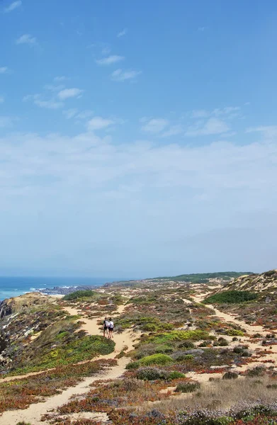 Trail in de buurt van de oceaan met gras in ten zuiden van Portugal — Stockfoto