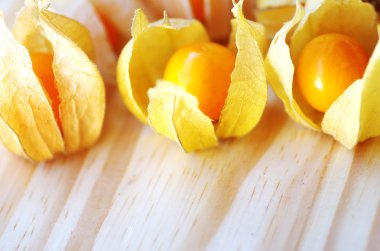 Olgun turuncu physalis ahşap tablo