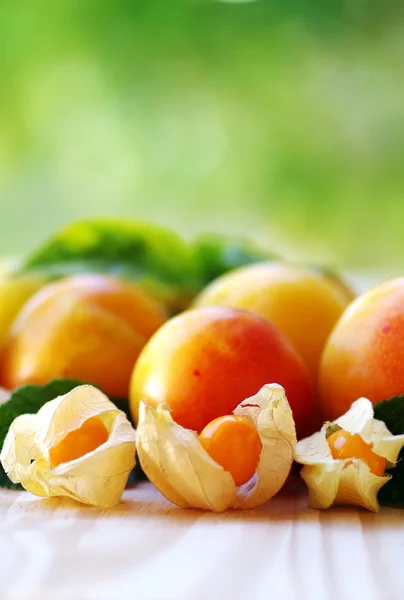 Zralé physalis a švestky na zeleném pozadí — Stock fotografie