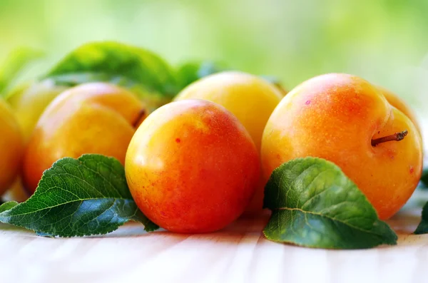 Gele pruimen op groene achtergrond — Stockfoto