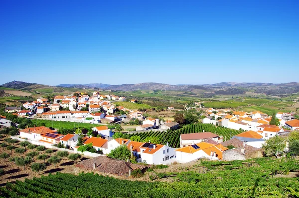 Villaggio nella valle del douro, Portogallo — Foto Stock