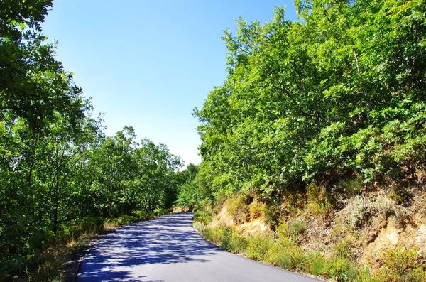 Yol Sierra Francia, İspanya — Stok fotoğraf