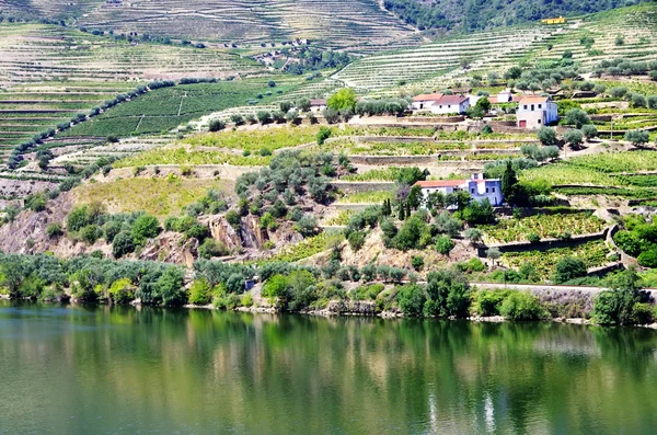 Valley of the River Douro, Portugal — Stock Photo, Image