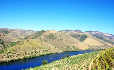 Douro valley, Portekiz 