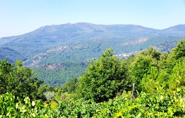 Landscape of Sierra Francia, Spain — Stock Photo, Image