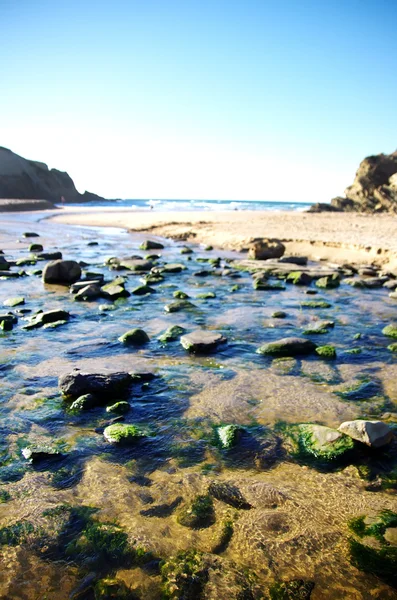 Strand von Carvalhal bei Zambujeira, Portugal. — Stockfoto