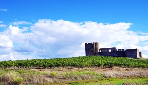 Valongo kasteel, Evora, Portugal — Stockfoto