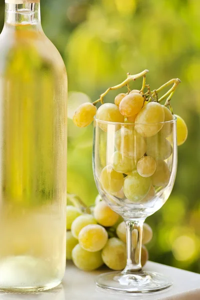 White wine and grapes — Stock Photo, Image