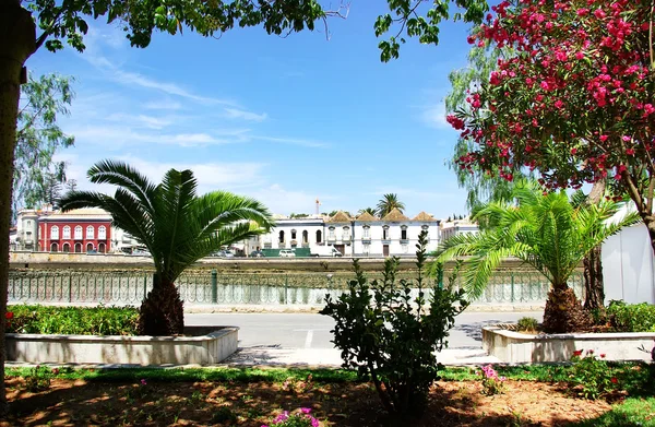 Сад Тавира, старый город в Португалии — стоковое фото