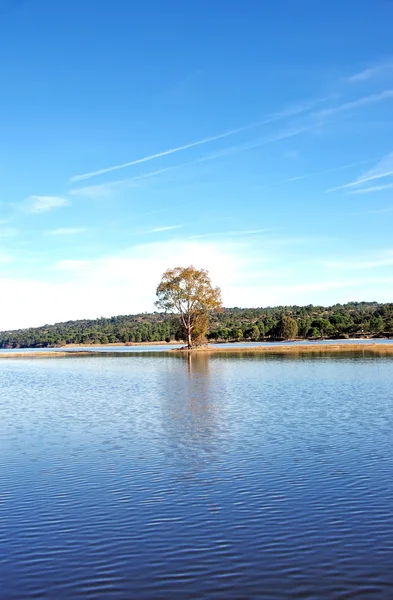 Weergave van montargil dam, portugal — Stockfoto