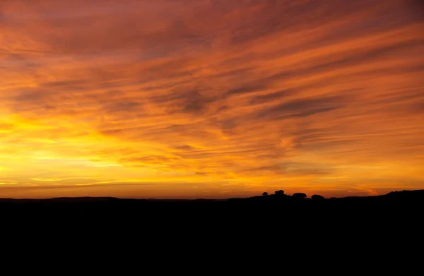 Pôr do sol com silhueta de arvore. Alentejo, Portugal — Fotografia de Stock