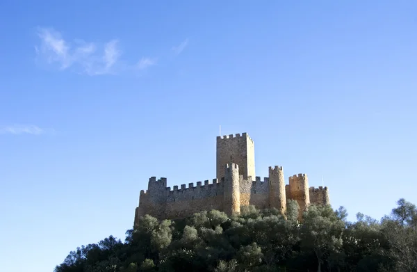 Castillo de Almourol situado en el río Tejo — Foto de Stock