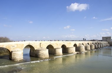 Roma köprüsü ve Calahorra kule Cordoba, İspanya