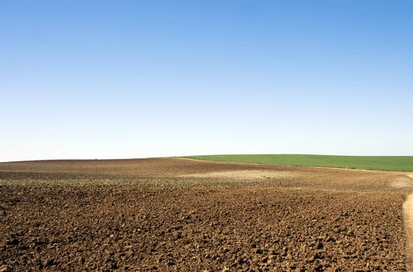 Campos agrícolas bajo cielo azul profundo — Foto de Stock