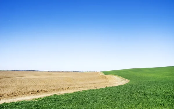 Pole zaorane i zielone tło, Alentejo, Portugalia — Zdjęcie stockowe