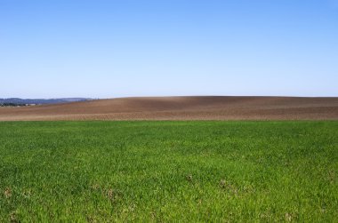 sürülmüş ve yeşil alan arka plan, Alentejo, Portekiz