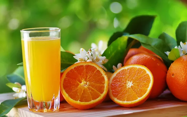 Apelsinjuice i glas, blossom och skiva apelsin frukt — Stockfoto