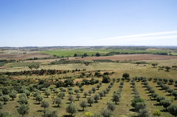 Krajina zemědělství polí plodin, alentejo, Portugalsko — Stock fotografie