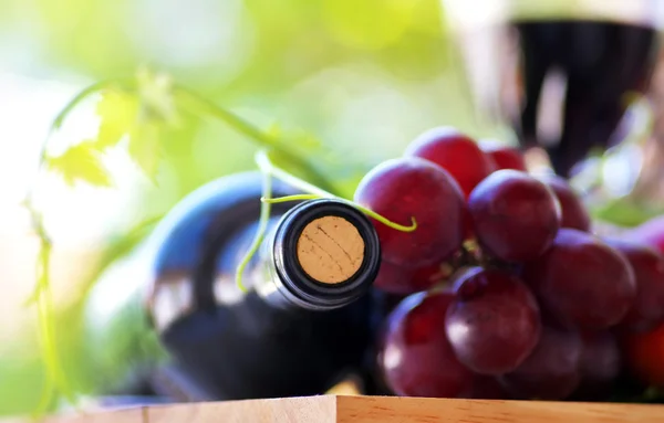 레드 와인, 포도 잎의 병 — 스톡 사진