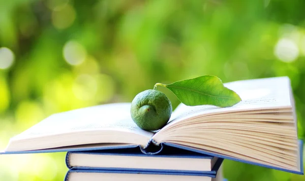 Lemon on open book — Stockfoto