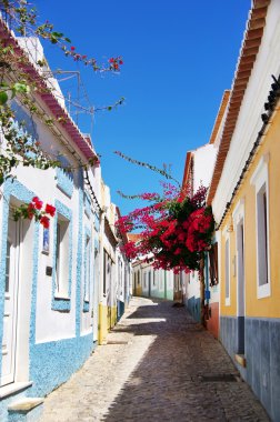 çiçeklerle Algarve, Portekiz eski sokak.