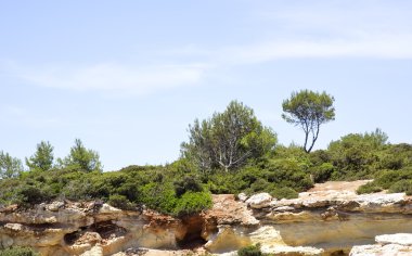 Algarve, Portekiz doğal bitki örtüsü ile alan