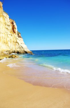  dalgalar deniz kıyısında kırma ile manzara