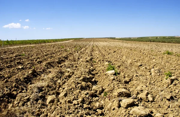 Plowed field in  rural landscape — Stock Photo, Image