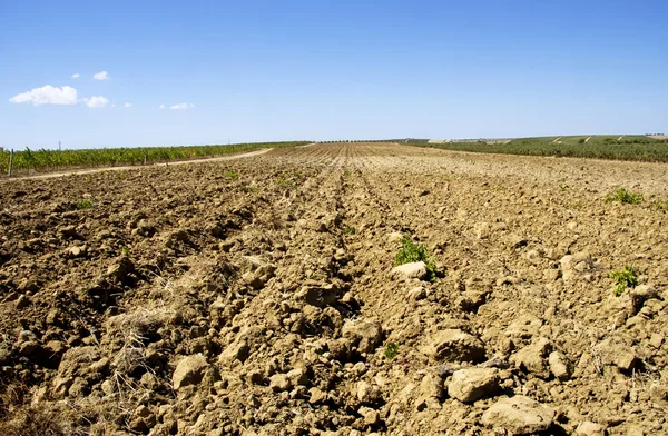 Geploegd veld in rurale landschap — Stockfoto