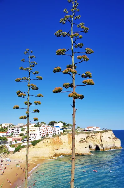 Aldeia do Carvoeiro com bela praia, Portugal — Fotografia de Stock