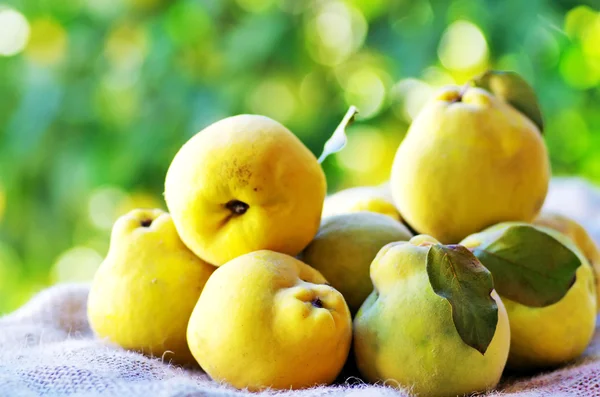 Kweeperen met bladeren op tafel — Stockfoto