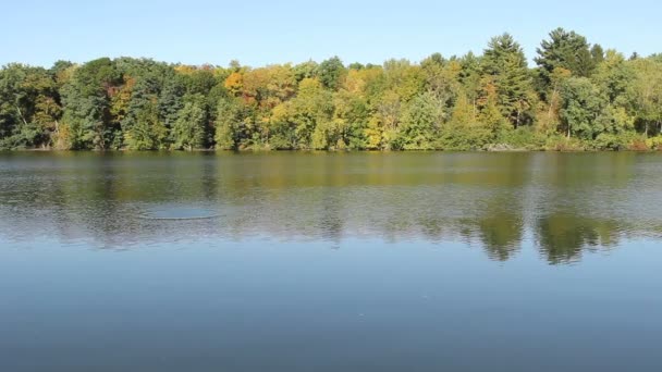 Quieto Lago de água doce do norte — Vídeo de Stock