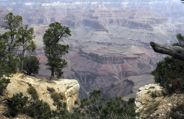 Parc naturel du Gran Canyon — Photo