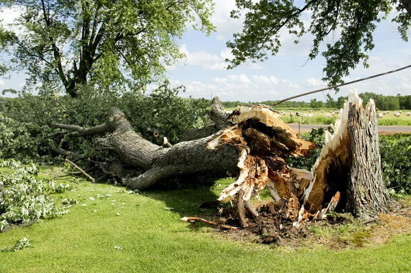 Tornado tempestade danos — Fotografia de Stock