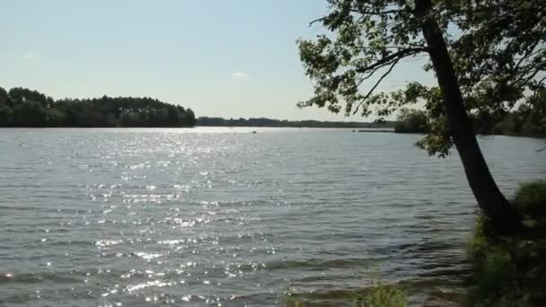 Lago de agua dulce — Vídeos de Stock